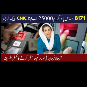 8171-Check-Online-CNIC-2 8171 Check Online CNIC