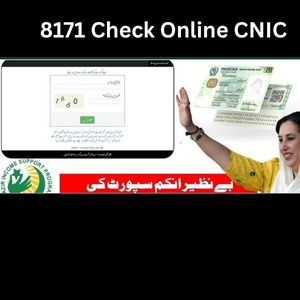 8171-Check-Online-CNIC-3 8171 Check Online CNIC